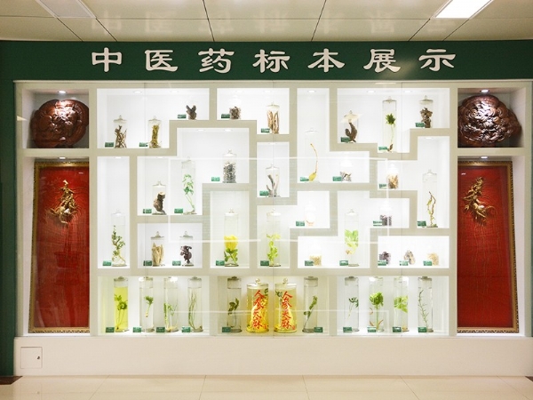 中醫(yī)藥標(biāo)本展示